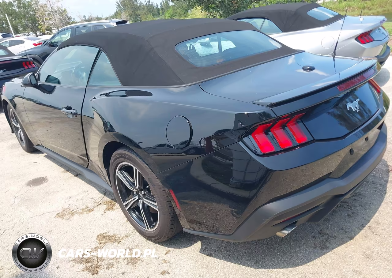 2025 Ford Mustang Ecoboost Premium VIN:1FAGP8UH6S5124035 - 3