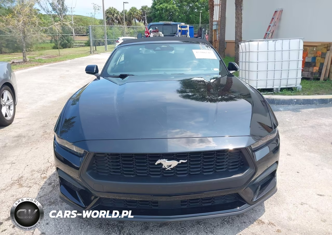 2025 Ford Mustang Ecoboost Premium VIN:1FAGP8UH6S5124035 - 6