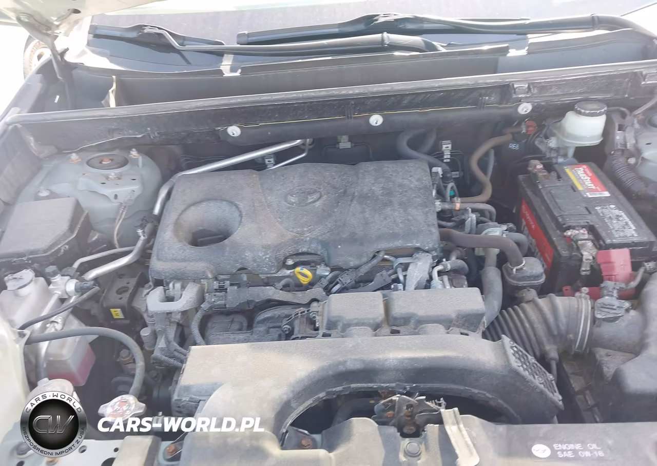 2019 Toyota Rav4 Xle VIN:JTMP1RFV5KD016807 - 10