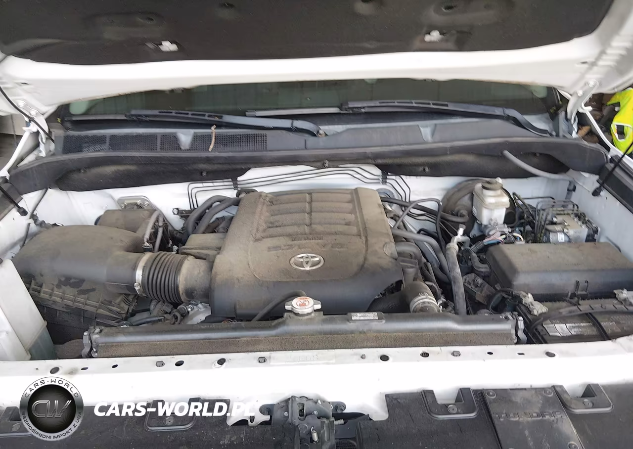 2018 Toyota Tundra Limited 5.7L V8 VIN:5TFHW5F12JX750331 - 10
