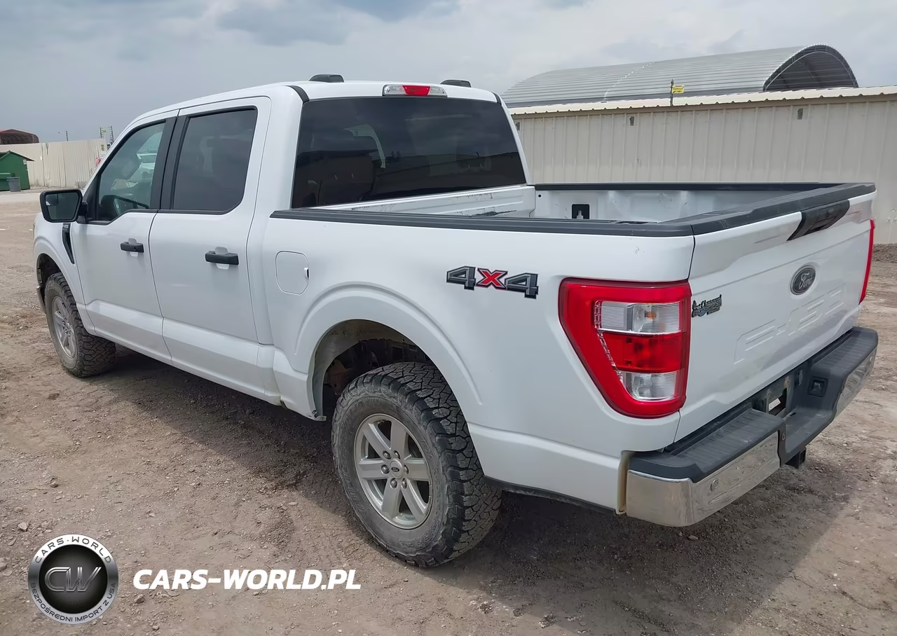 2023 Ford F-150 Xl VIN:1FTFW1E53PFC35003 - 3
