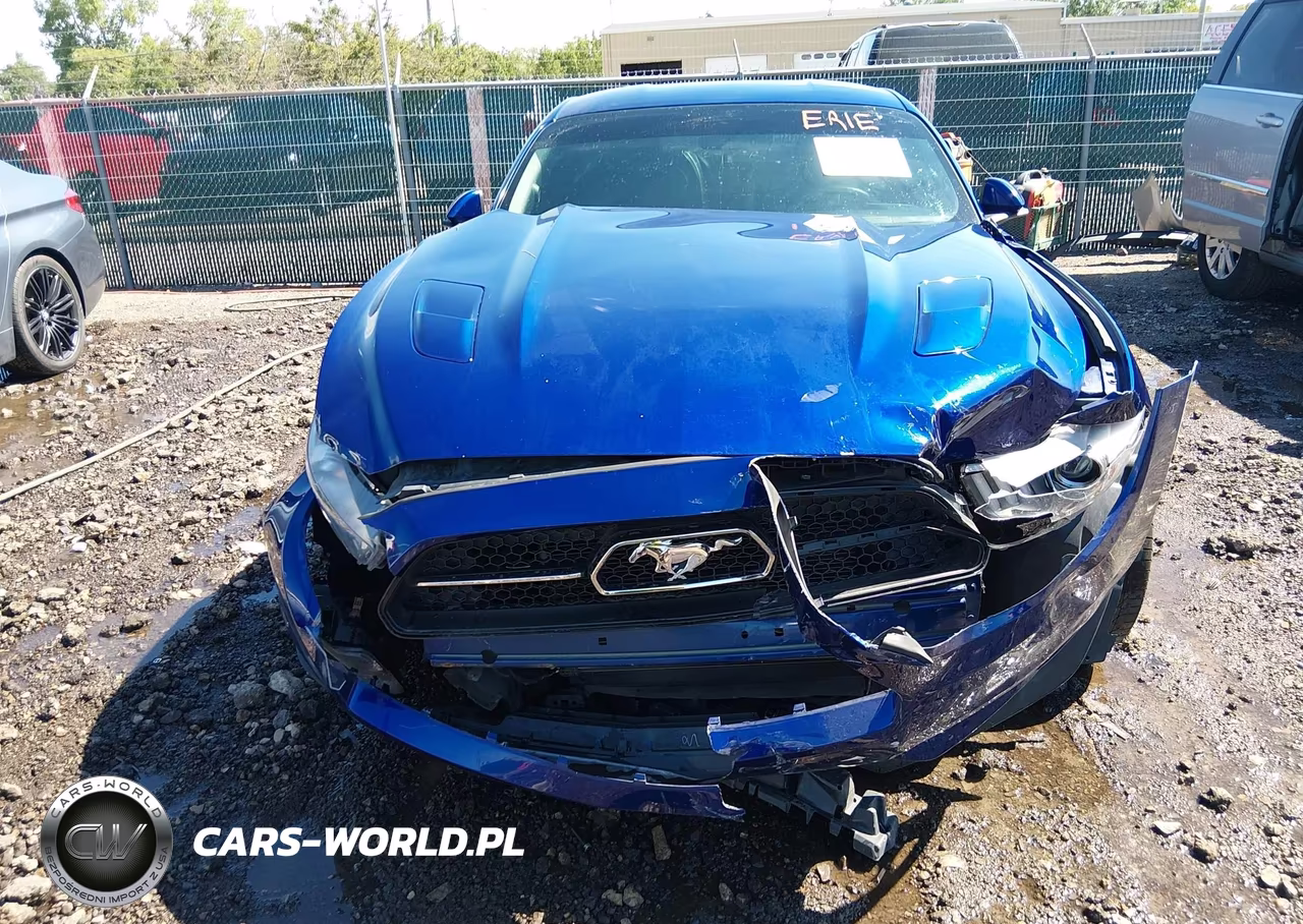 2015 Ford Mustang Gt Premium VIN:1FA6P8CF7F5424331 - 13