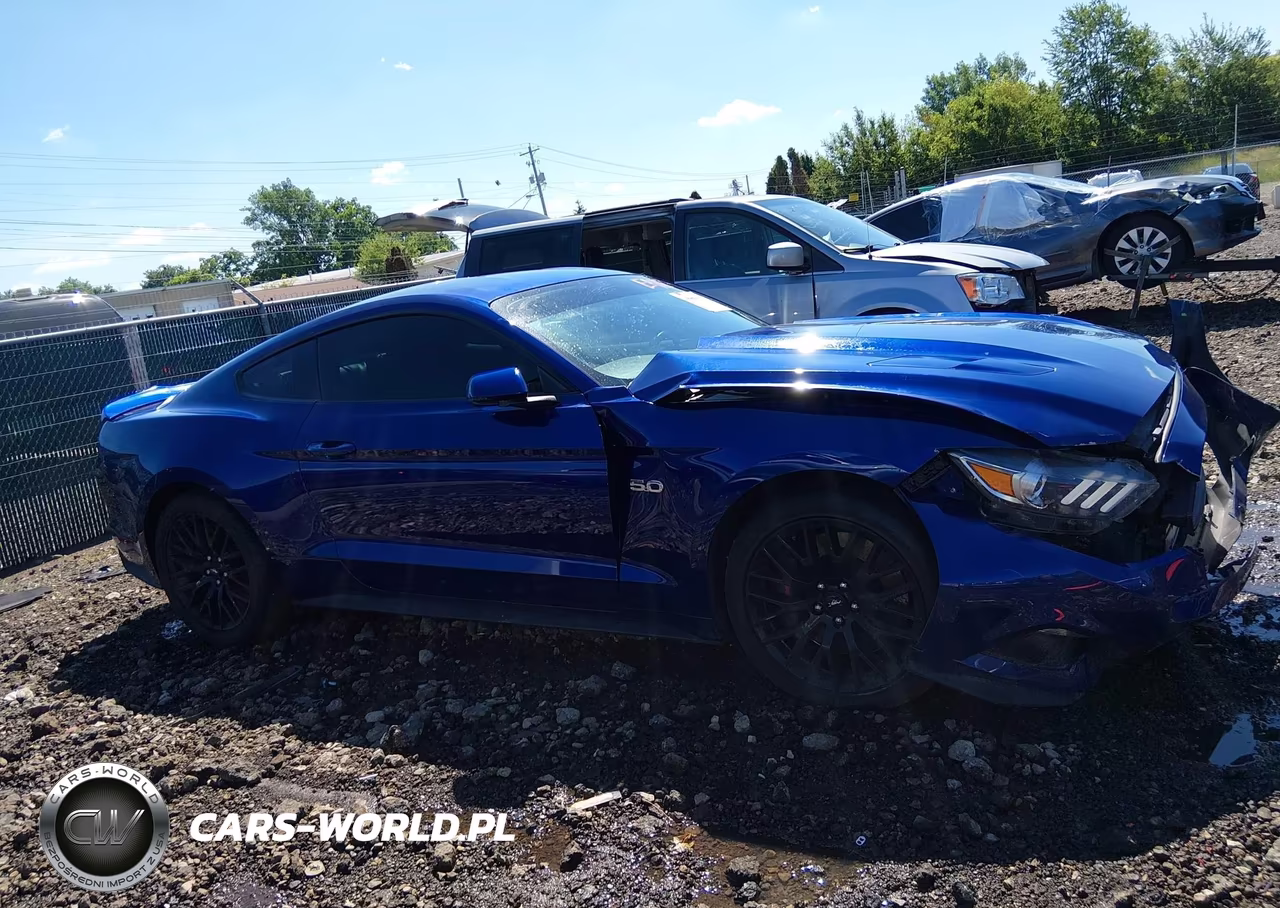 2015 Ford Mustang Gt Premium VIN:1FA6P8CF7F5424331 - 14
