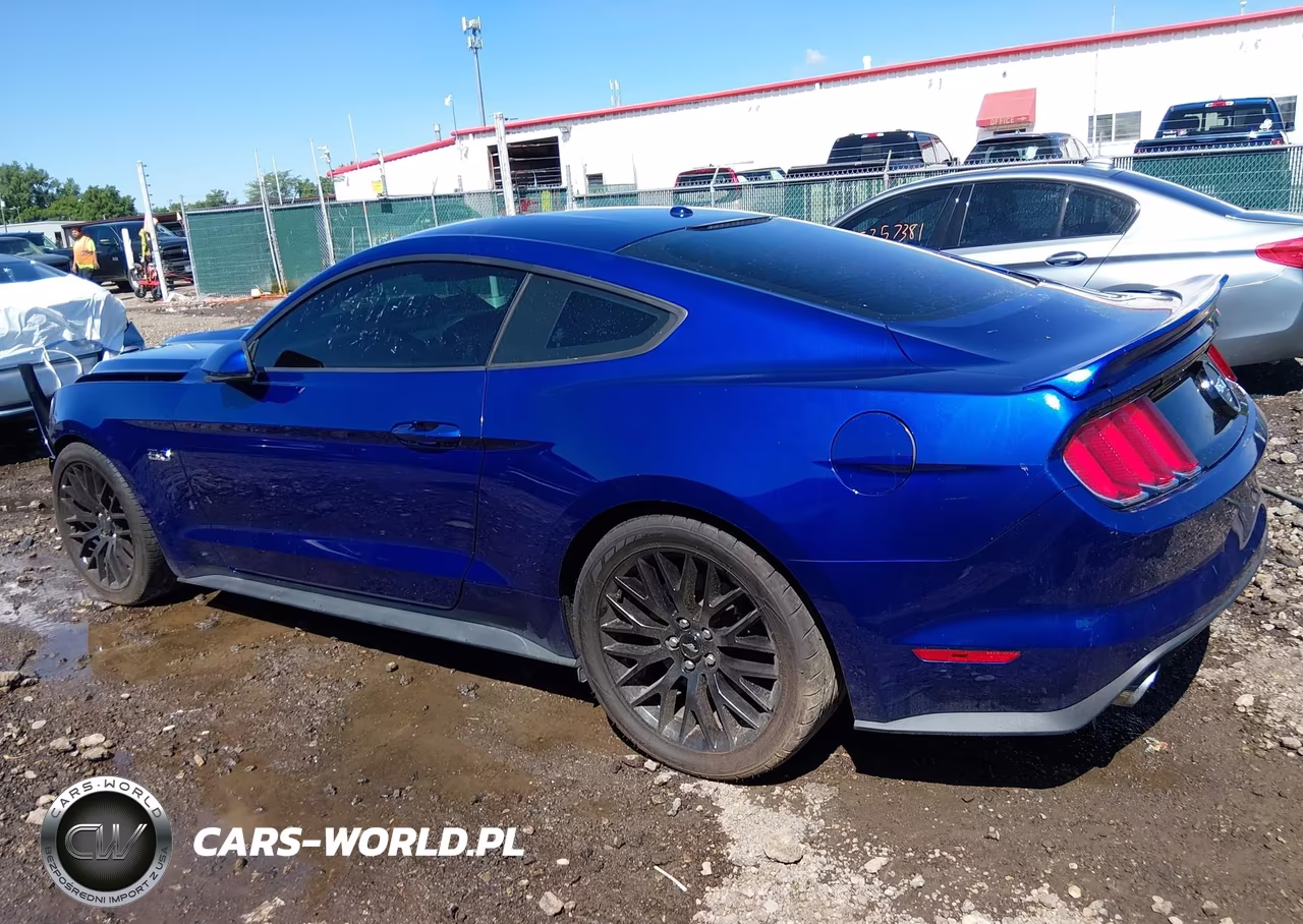 2015 Ford Mustang Gt Premium VIN:1FA6P8CF7F5424331 - 15