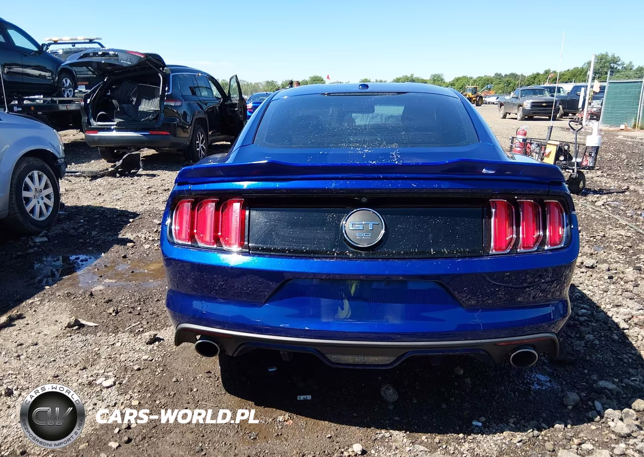 2015 Ford Mustang Gt Premium VIN:1FA6P8CF7F5424331 - 17