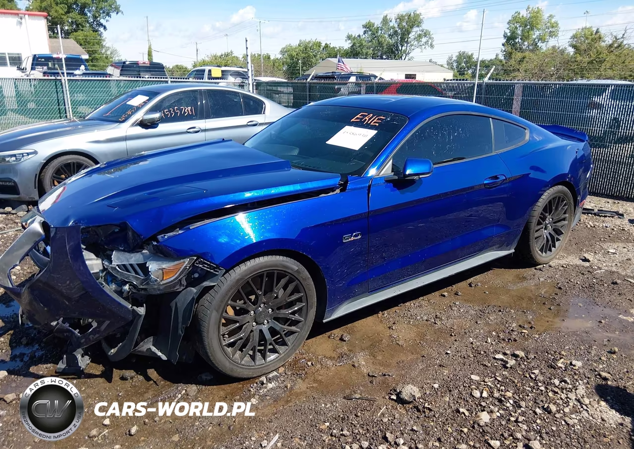 2015 Ford Mustang Gt Premium VIN:1FA6P8CF7F5424331 - 2