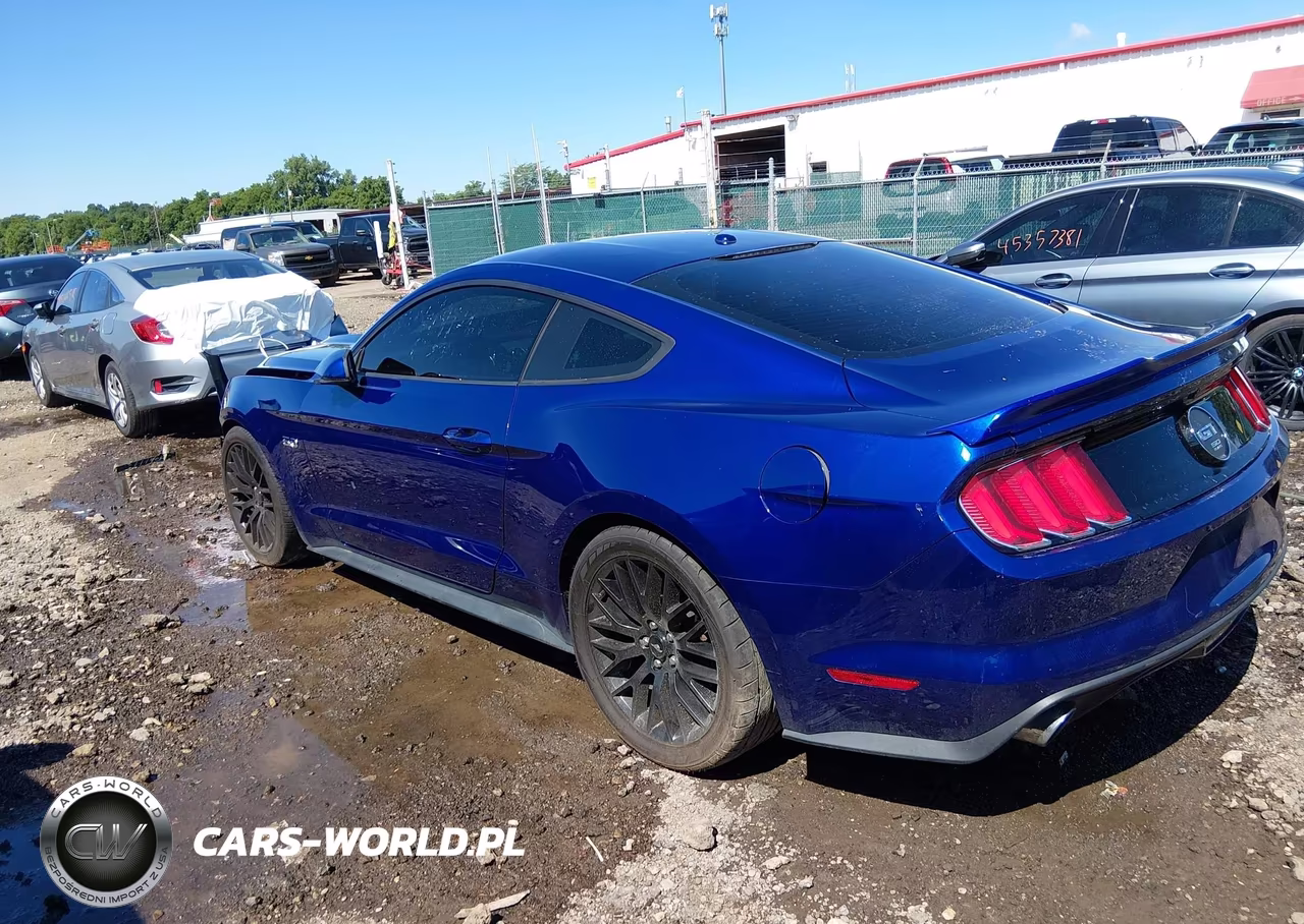 2015 Ford Mustang Gt Premium VIN:1FA6P8CF7F5424331 - 3