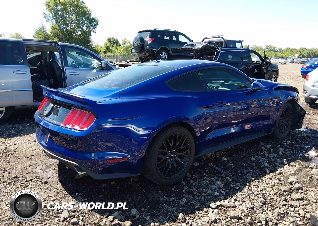 2015 Ford Mustang Gt Premium VIN:1FA6P8CF7F5424331 - 4