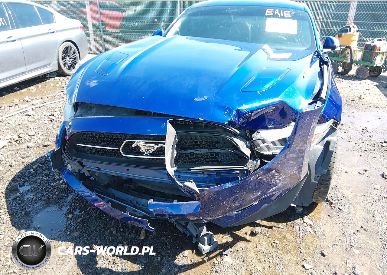 2015 Ford Mustang Gt Premium VIN:1FA6P8CF7F5424331 - 6