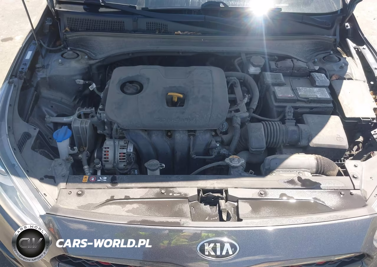 2020 Kia Forte Gt-Line VIN:3KPF34AD2LE219807 - 10