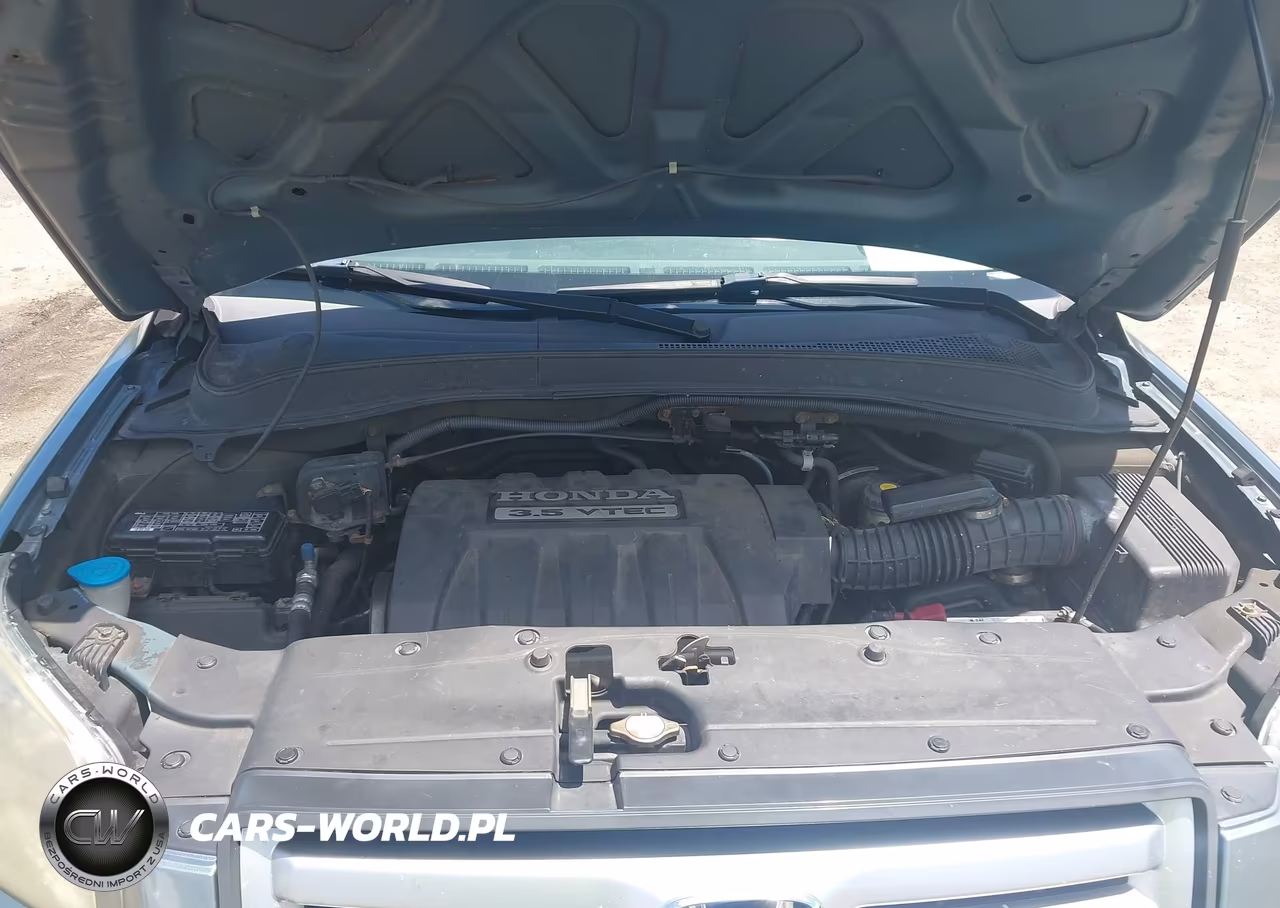 2006 Honda Pilot Ex VIN:2HKYF186X6H540032 - 10