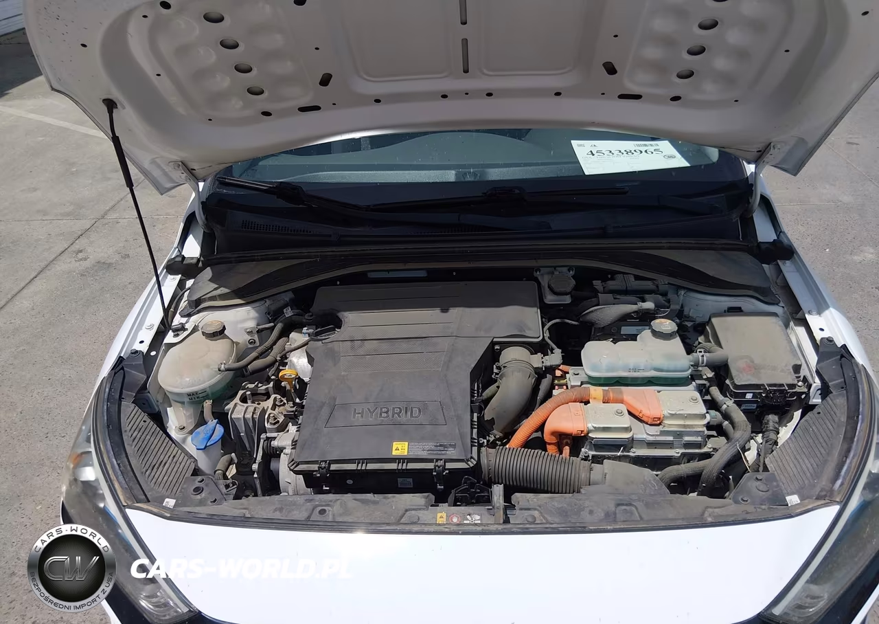 2019 Hyundai Ioniq Hybrid Blue VIN:KMHC65LC3KU107663 - 10