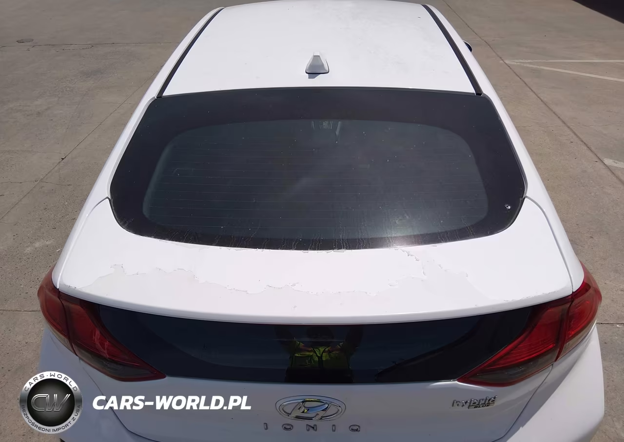 2019 Hyundai Ioniq Hybrid Blue VIN:KMHC65LC3KU107663 - 12