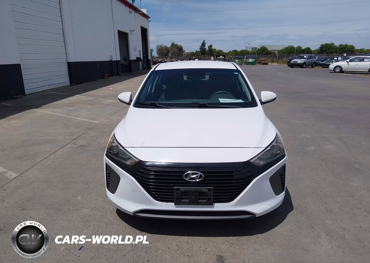 2019 Hyundai Ioniq Hybrid Blue VIN:KMHC65LC3KU107663 - 13