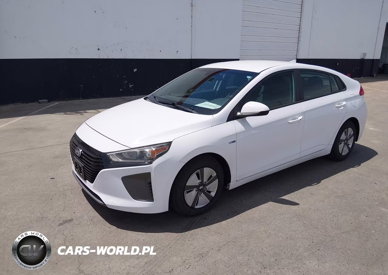 2019 Hyundai Ioniq Hybrid Blue VIN:KMHC65LC3KU107663 - 2