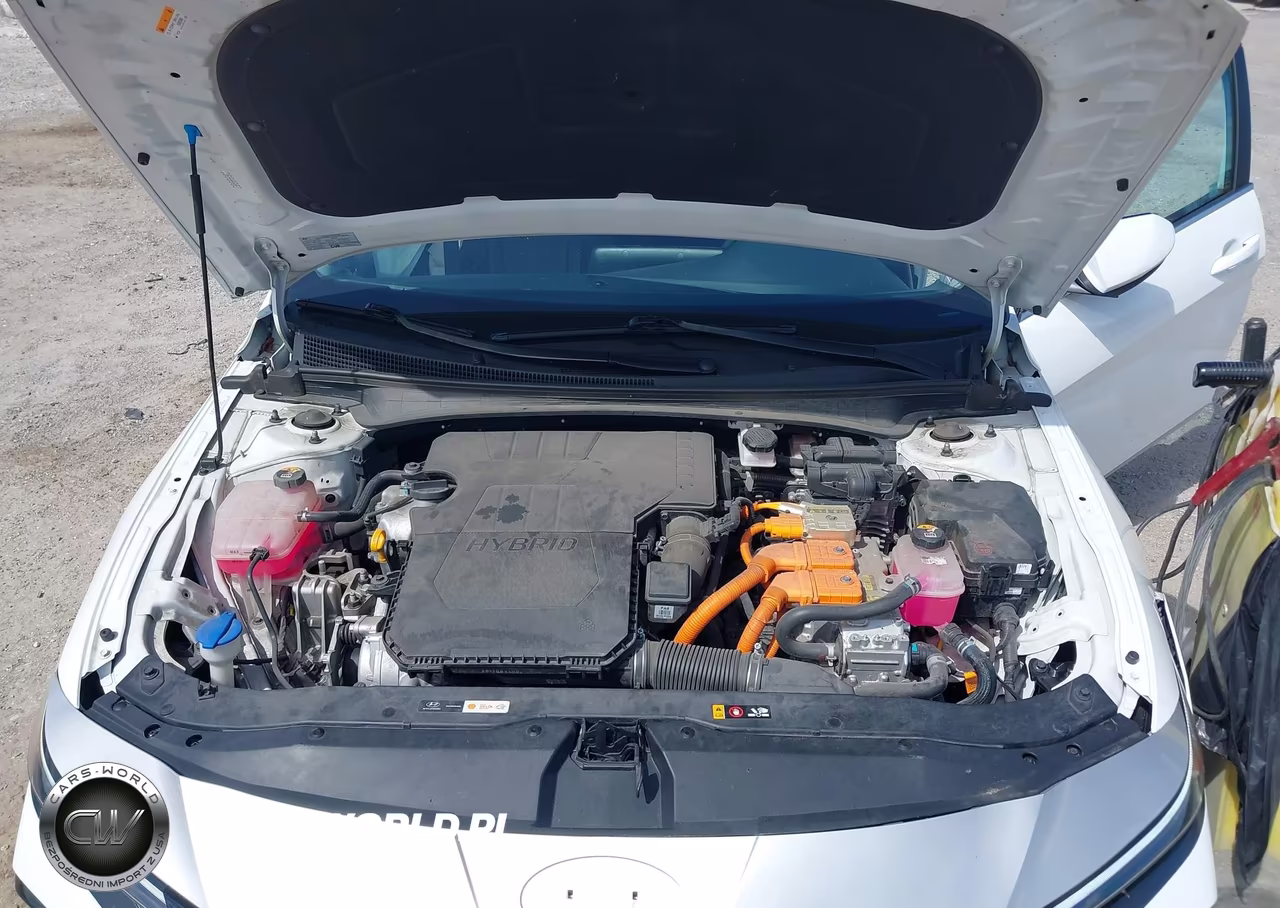 2024 Hyundai Elantra Hybrid Limited VIN:KMHLN4DJ6RU102249 - 10