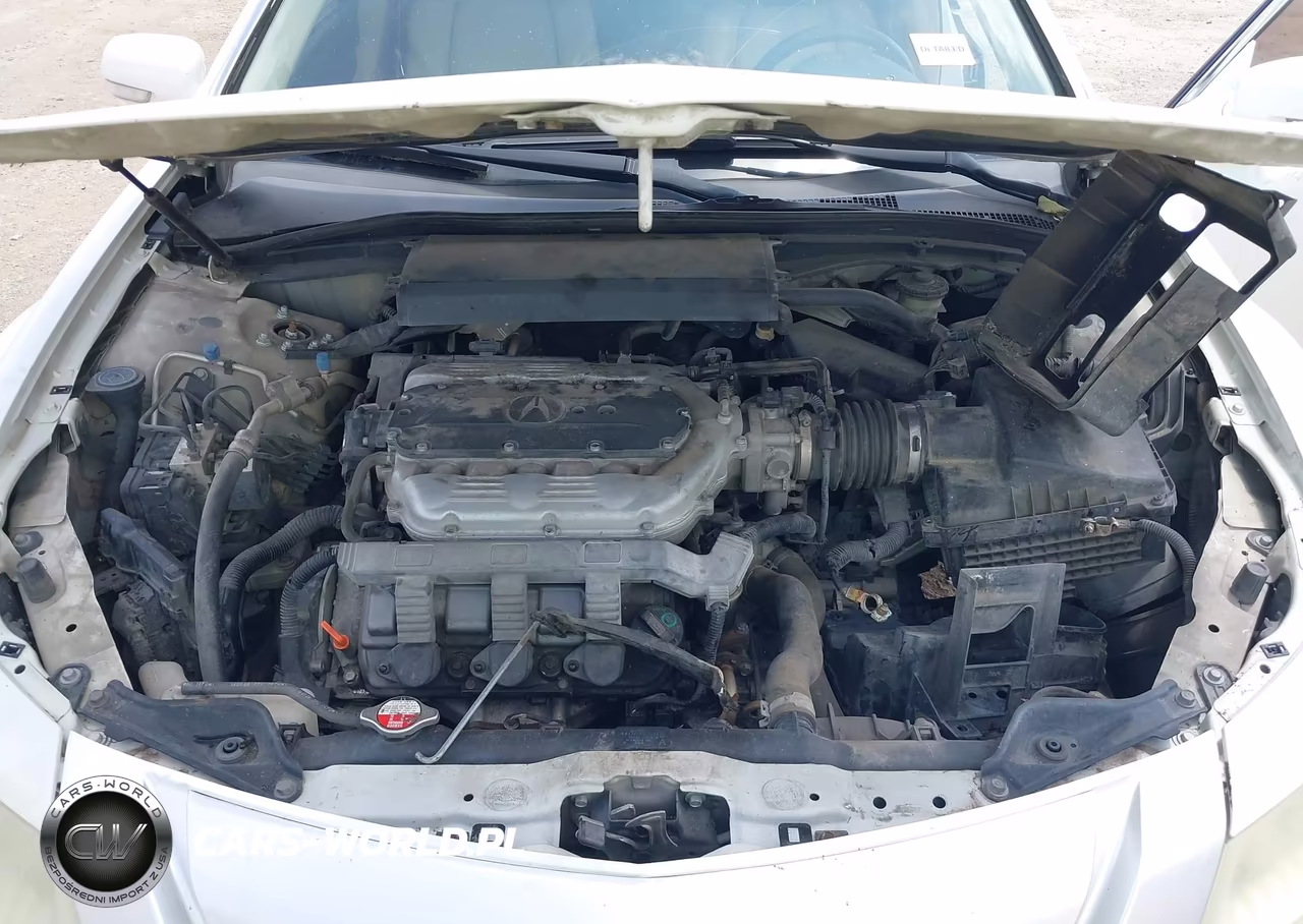 2009 Acura Tl 3.5 VIN:19UUA86559A017661 - 10