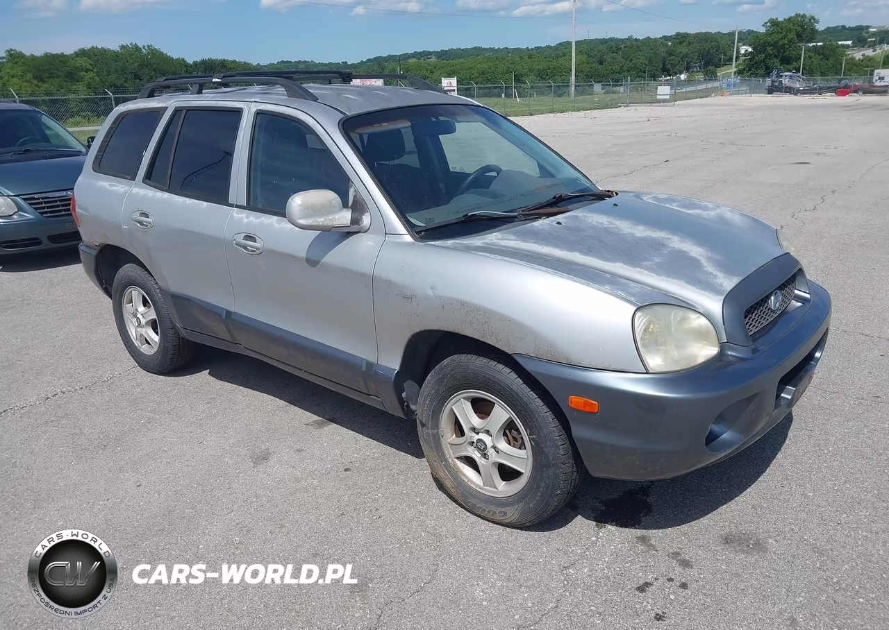 2004 Hyundai Santa Fe Gls-Lx