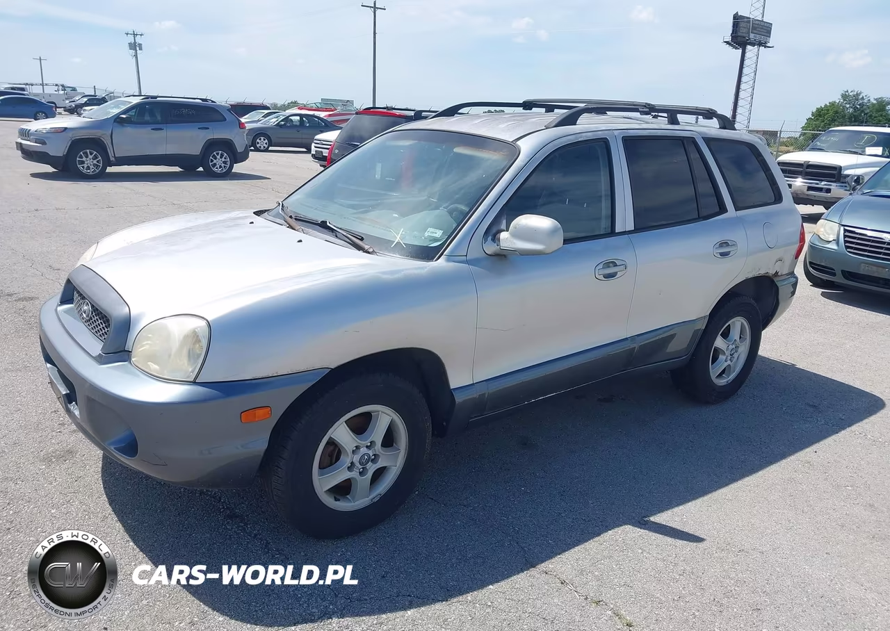 2004 Hyundai Santa Fe Gls-Lx VIN:KM8SC13E74U785611 - 2
