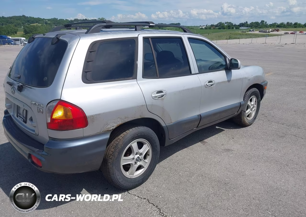2004 Hyundai Santa Fe Gls-Lx VIN:KM8SC13E74U785611 - 4