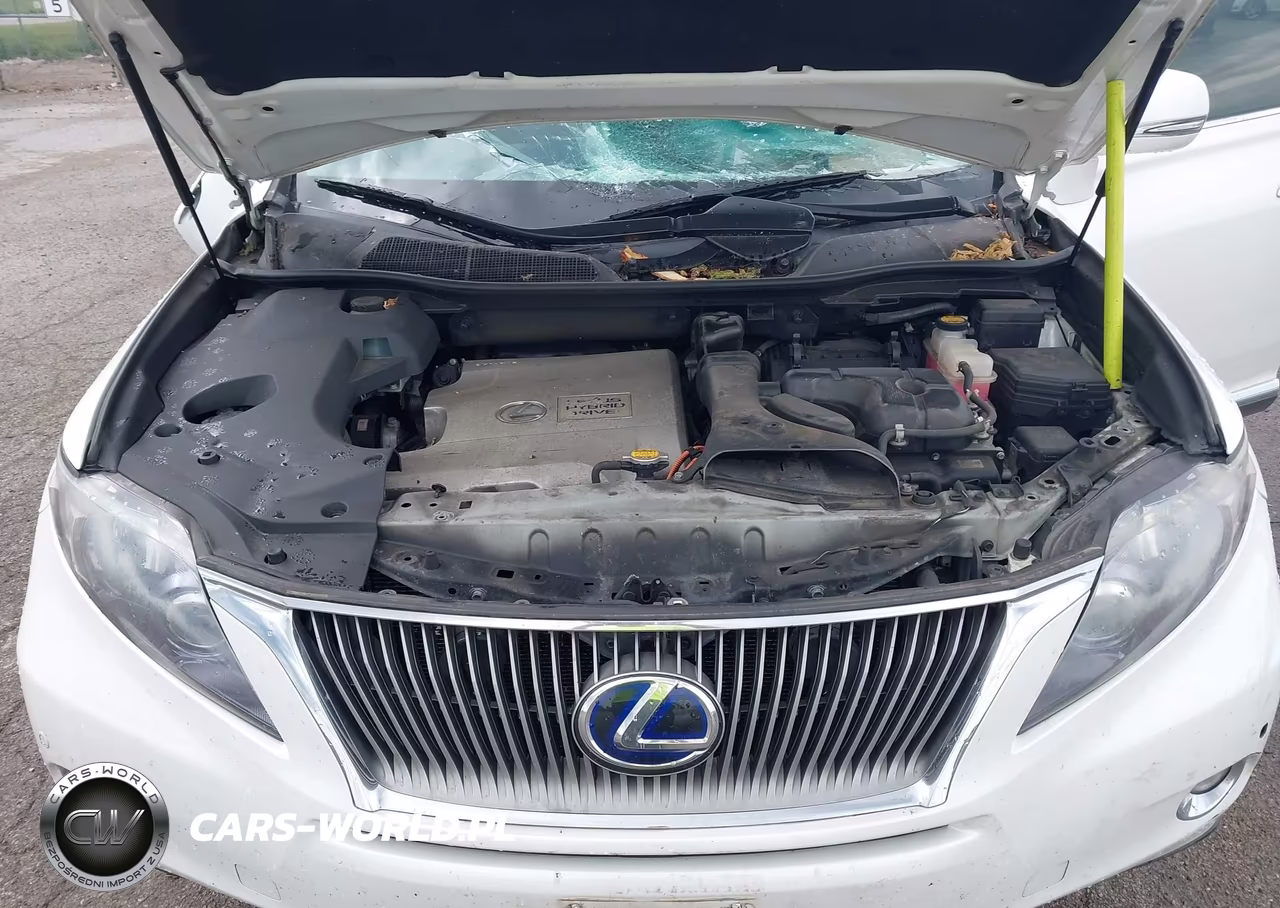 2010 Lexus Rx 450H VIN:JTJZB1BA2A2002834 - 10