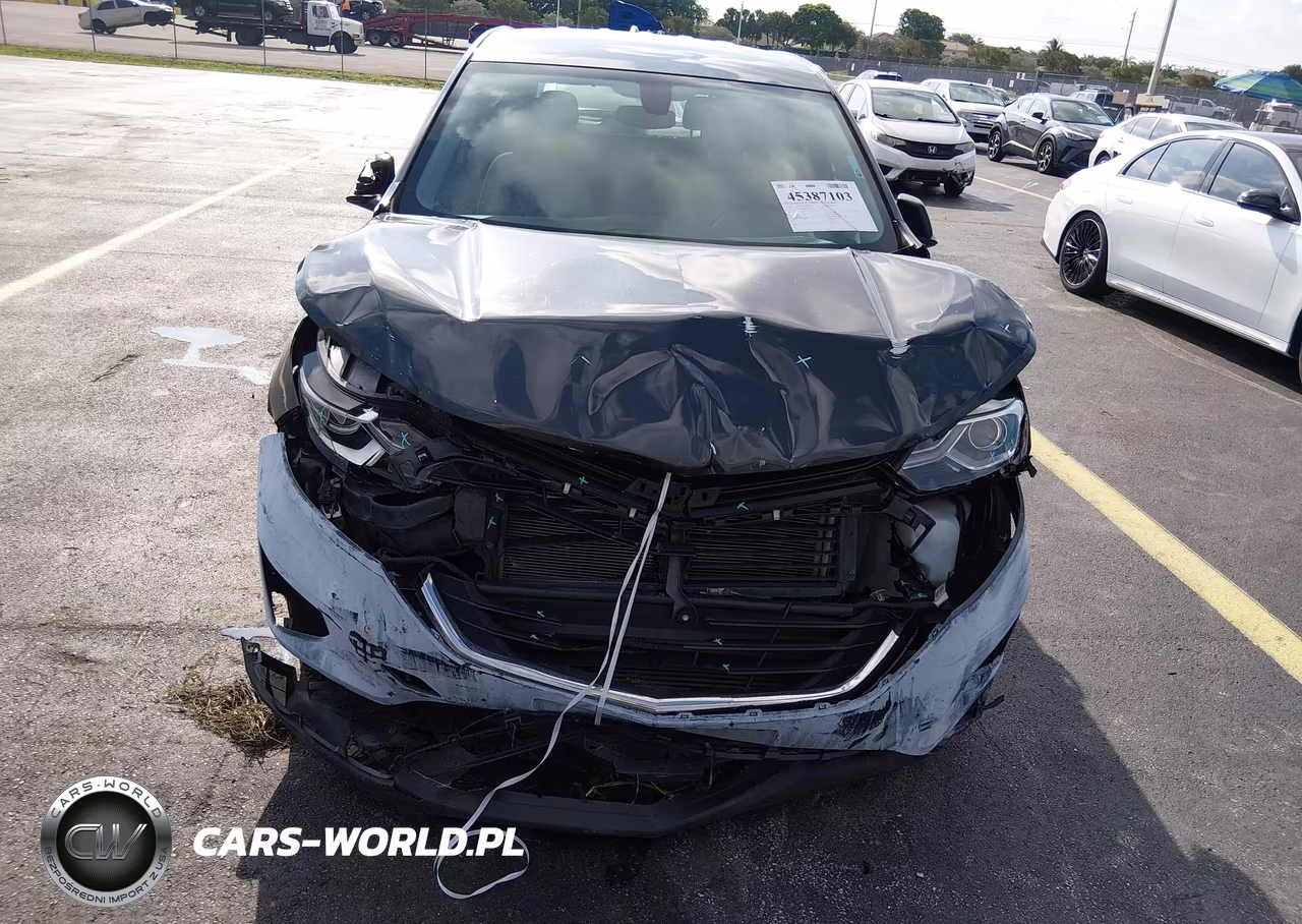 2019 Chevrolet Equinox Ls VIN:2GNAXHEV8K6158445 - 6