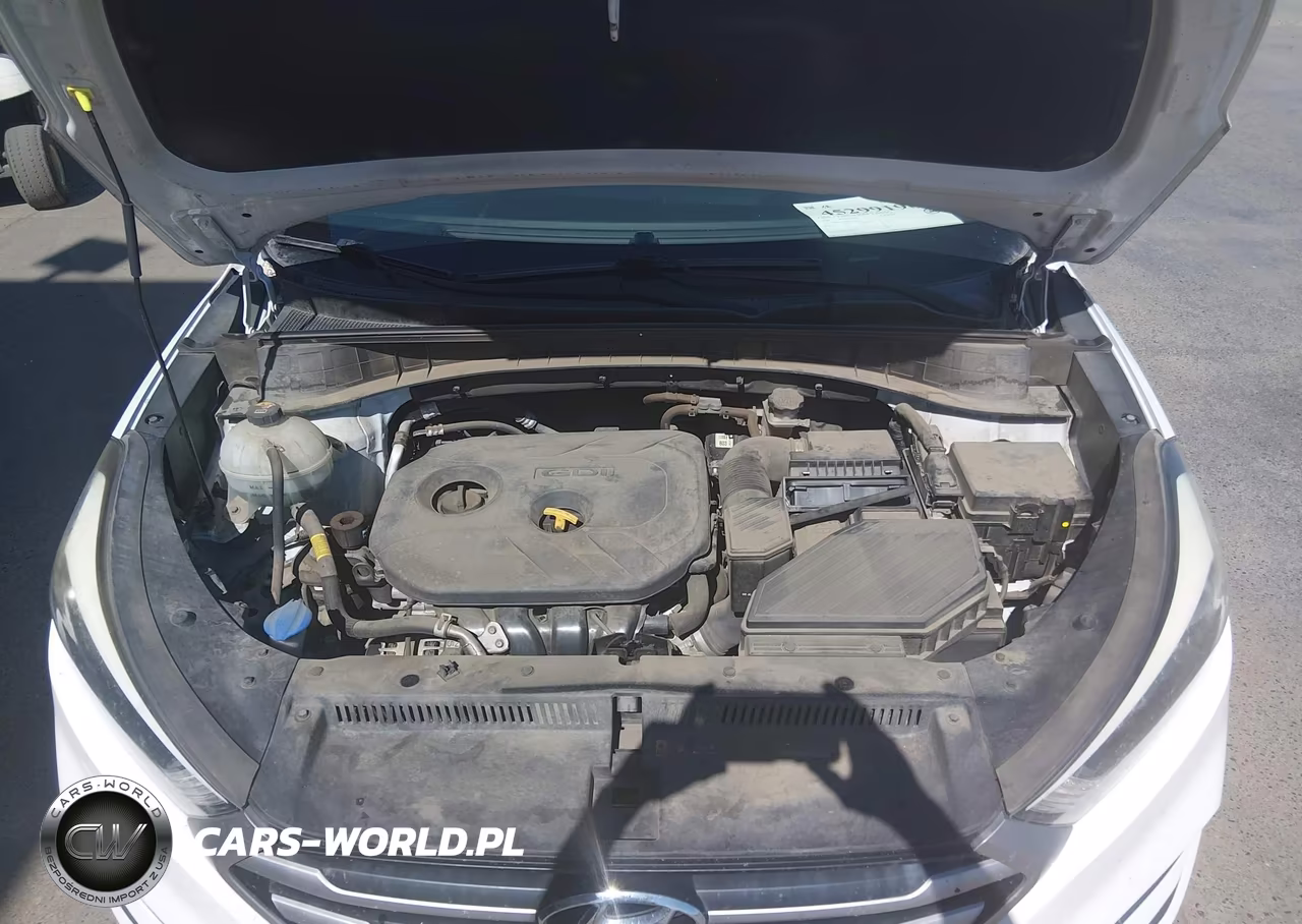 2018 Hyundai Tucson Se VIN:KM8J23A43JU712526 - 10