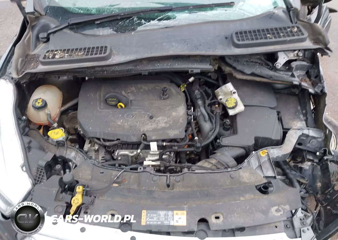 2017 Ford Escape Se VIN:1FMCU0GD6HUB01781 - 10