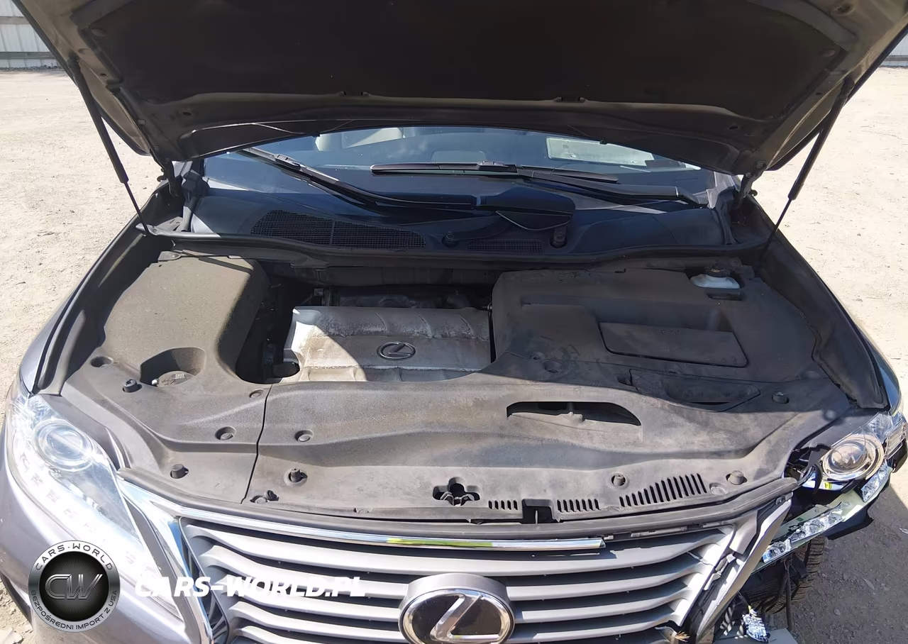 2014 Lexus Rx 350 VIN:JTJZK1BA5E2418978 - 10
