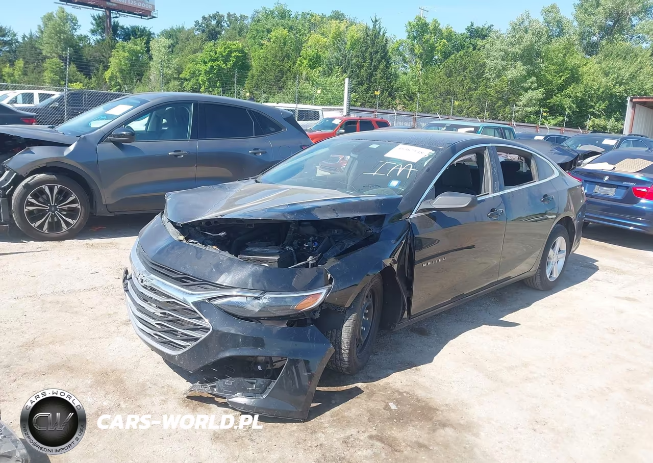 2019 Chevrolet Malibu 1Ls VIN:1G1ZB5ST5KF211516 - 2