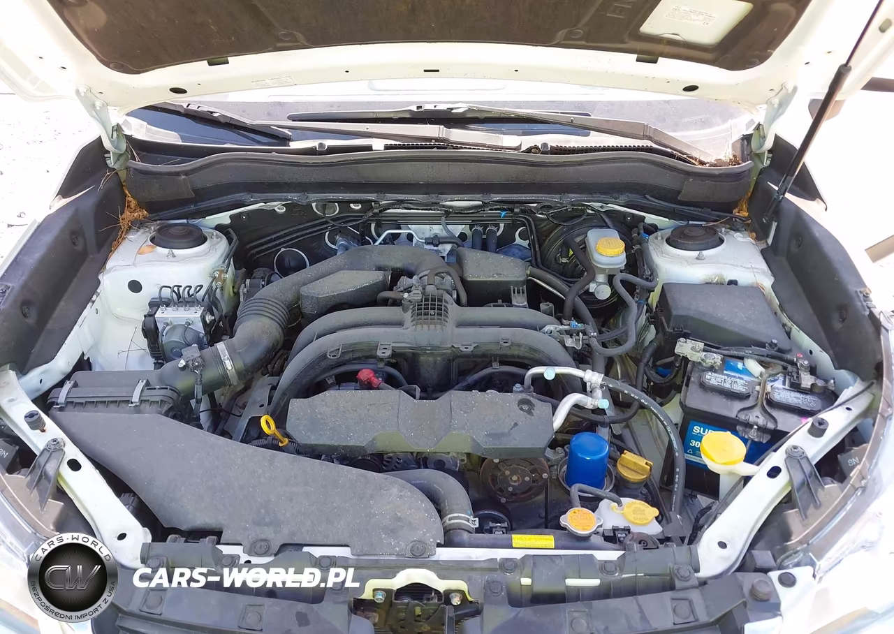 2017 Subaru Forester 2.5I Limited VIN:JF2SJAJC0HH402264 - 10