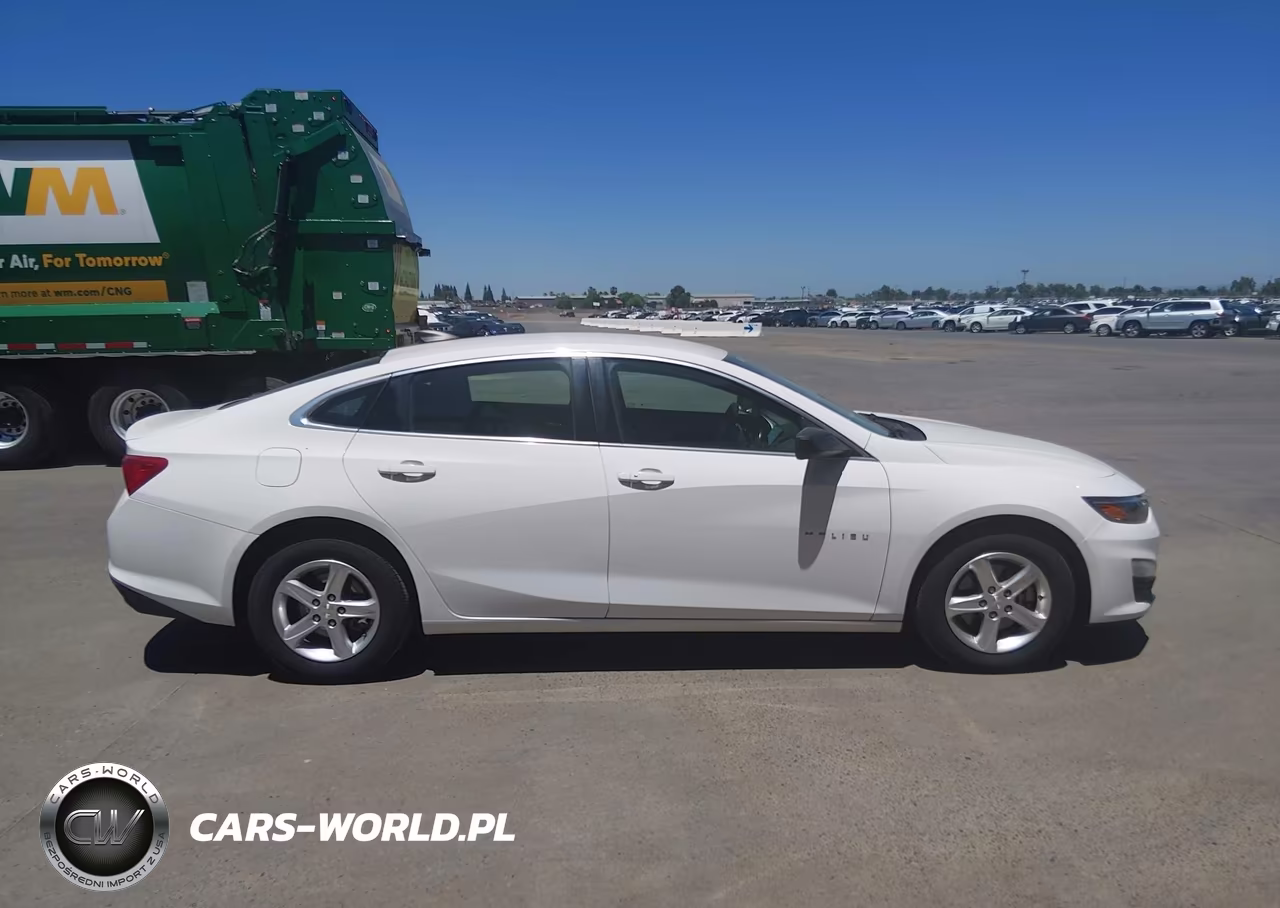 2020 Chevrolet Malibu Fwd 1Fl VIN:1G1ZC5ST6LF134542 - 13