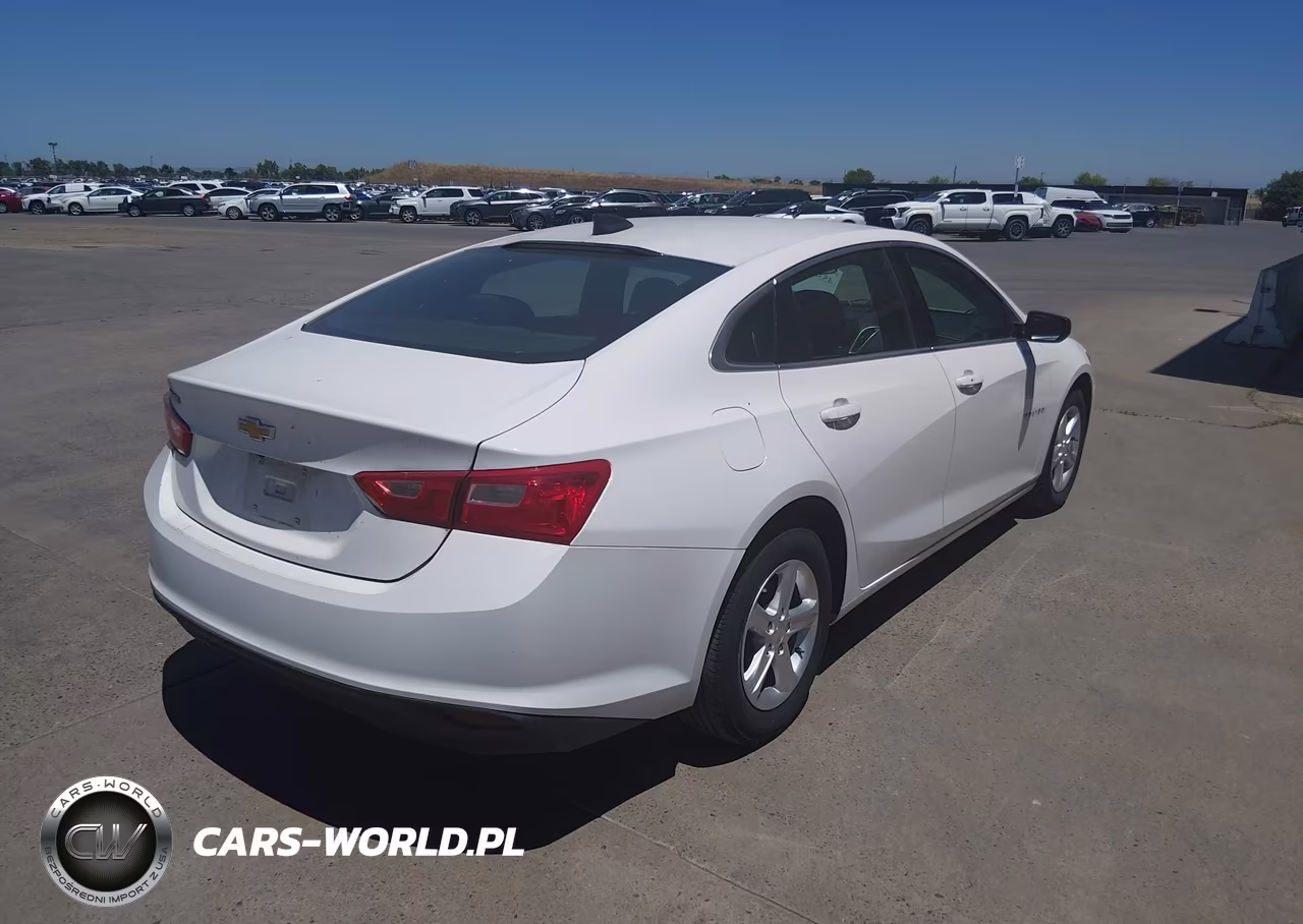 2020 Chevrolet Malibu Fwd 1Fl VIN:1G1ZC5ST6LF134542 - 4
