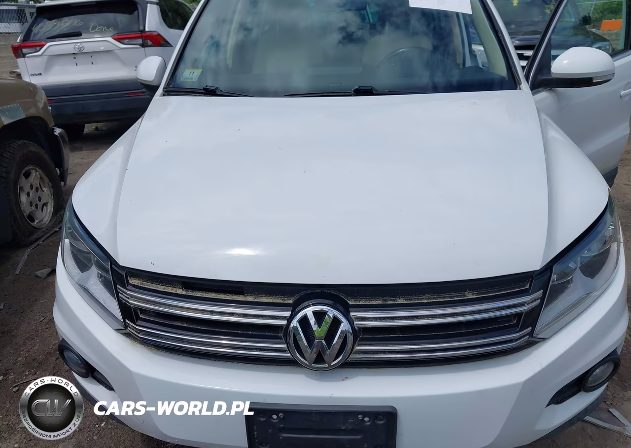 2015 Volkswagen Tiguan Se VIN:WVGBV7AX9FW116023 - 10