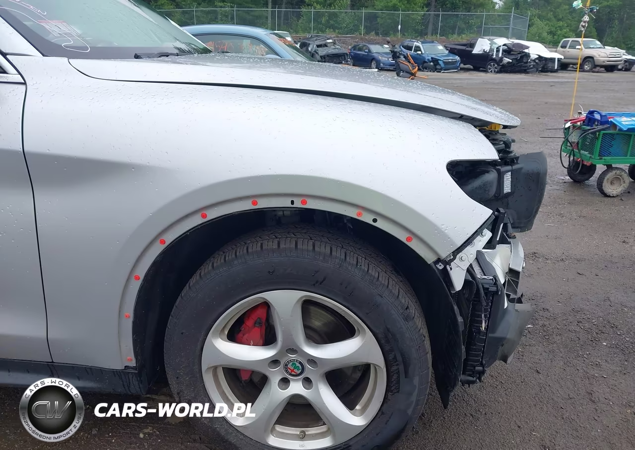 2018 Alfa Romeo Stelvio Awd VIN:ZASFAKAN6J7B68979 - 19