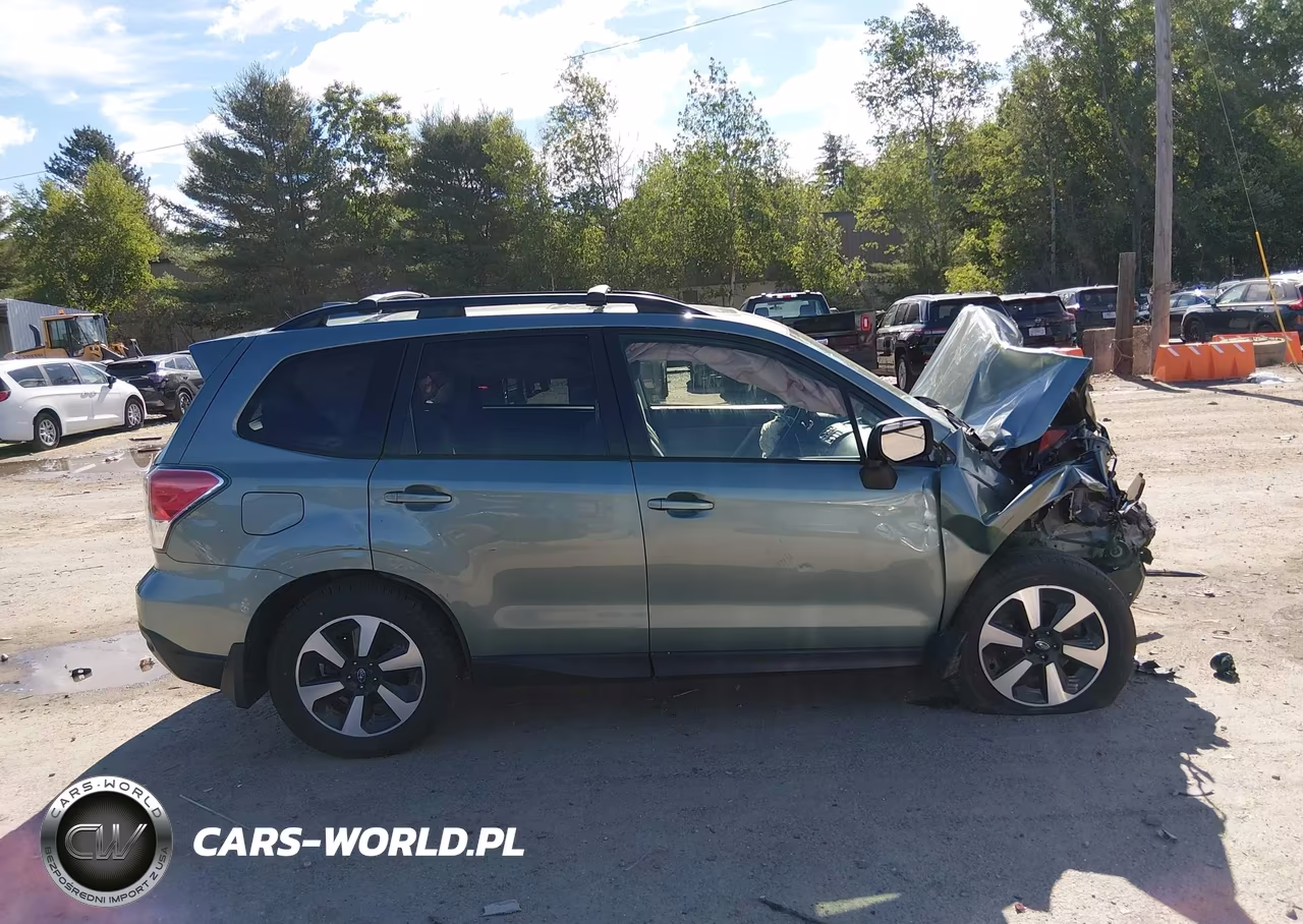 2017 Subaru Forester 2.5I Premium VIN:JF2SJAEC4HH582312 - 13