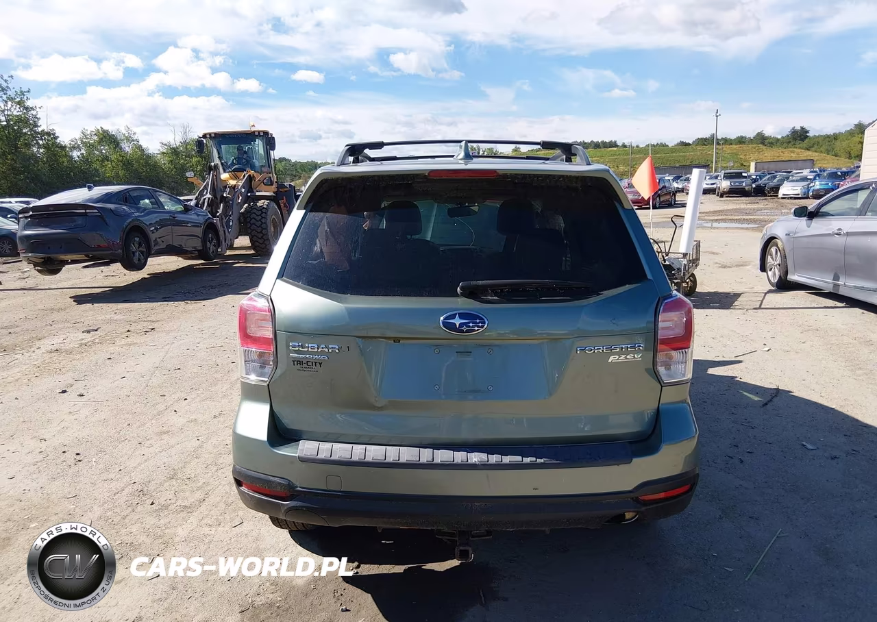 2017 Subaru Forester 2.5I Premium VIN:JF2SJAEC4HH582312 - 16
