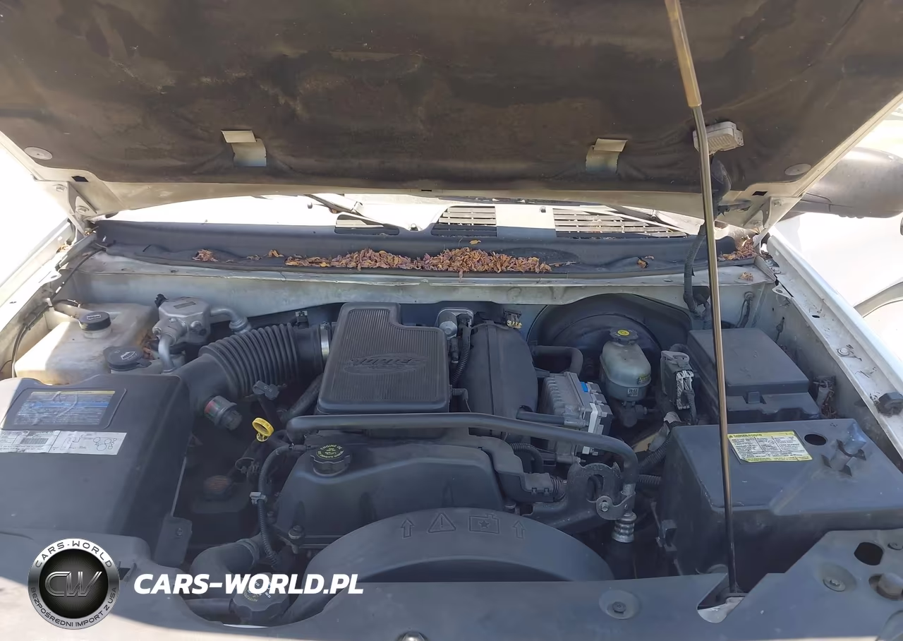 2002 Chevrolet Trailblazer Lt VIN:1GNDS13S822266007 - 10