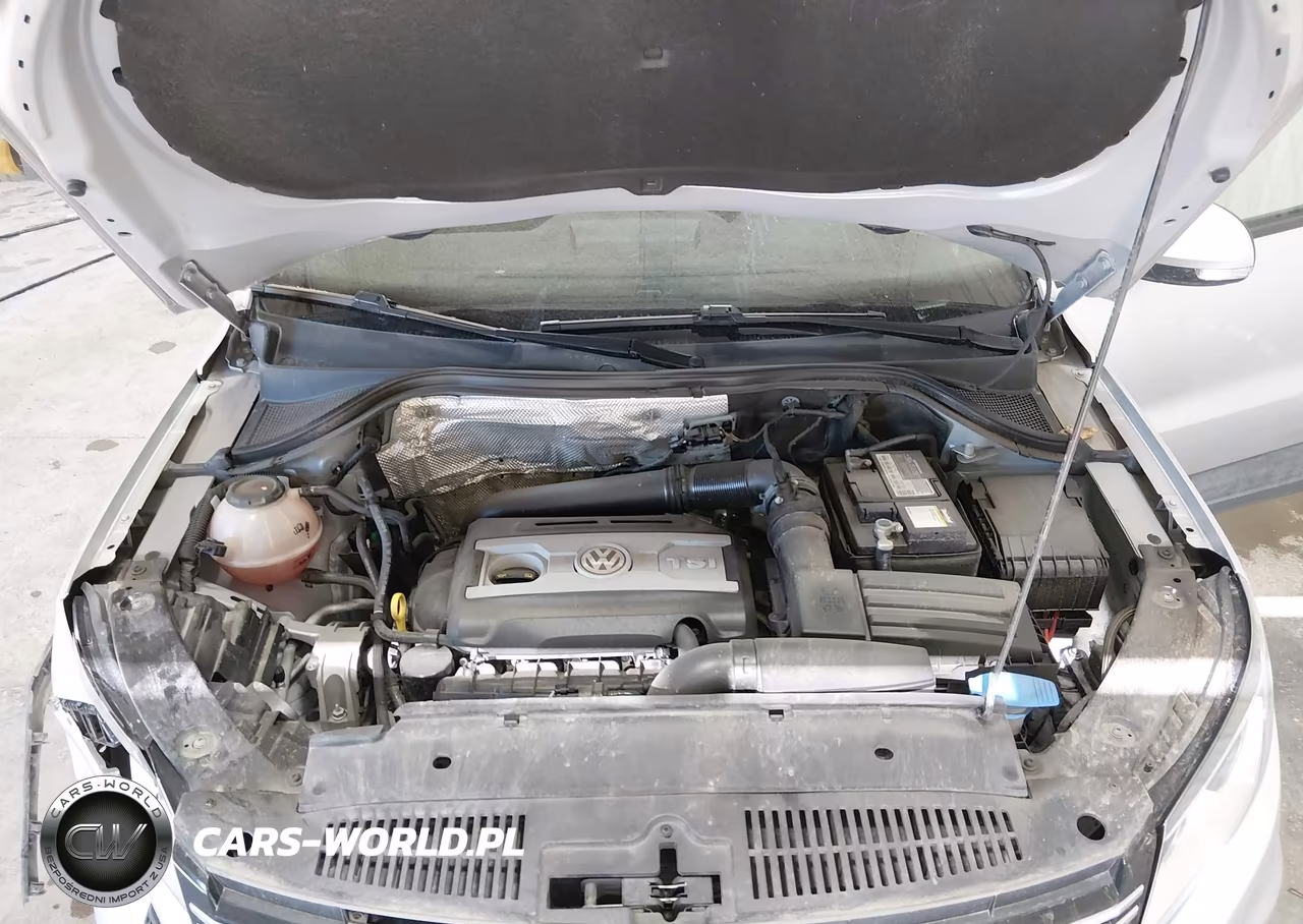 2018 Volkswagen Tiguan Limited 2.0T VIN:WVGBV7AX1JK004834 - 10