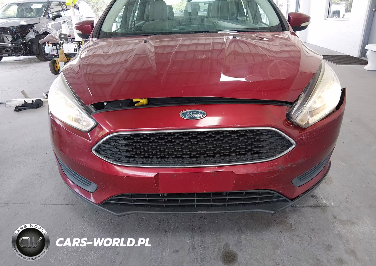 2016 Ford Focus Se VIN:1FADP3F29GL378064 - 13