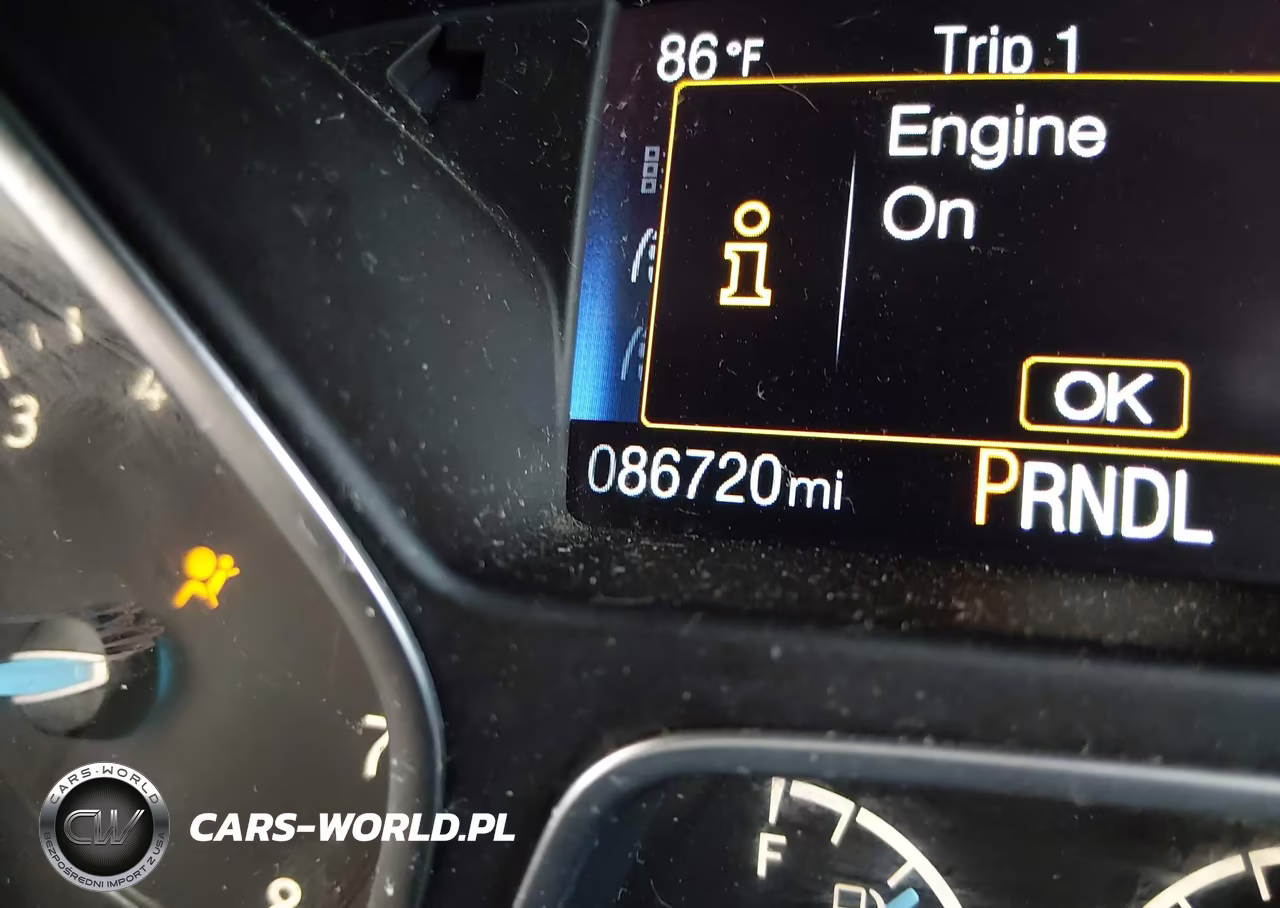 2016 Ford Focus Se VIN:1FADP3F29GL378064 - 16