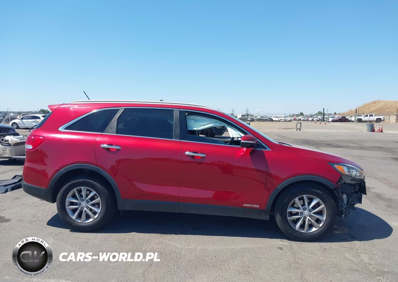 2017 Kia Sorento 3.3L Lx VIN:5XYPGDA52HG218636 - 13