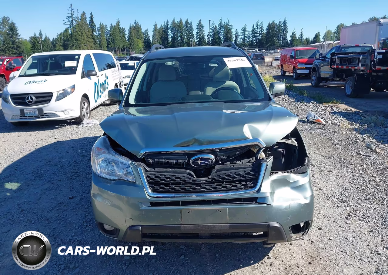 2014 Subaru Forester 2.5I Premium VIN:JF2SJACC0EG456212 - 13