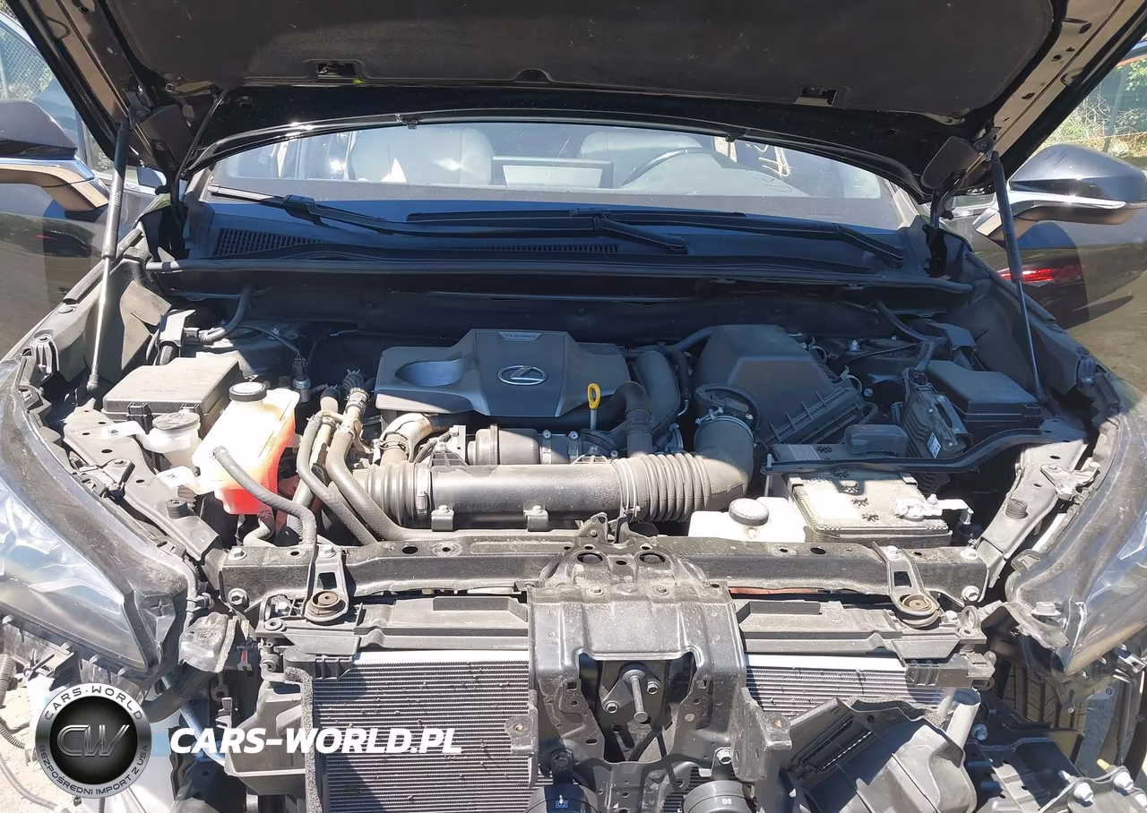 2021 Lexus Nx 300 F Sport VIN:JTJSARDZ8M2242349 - 10