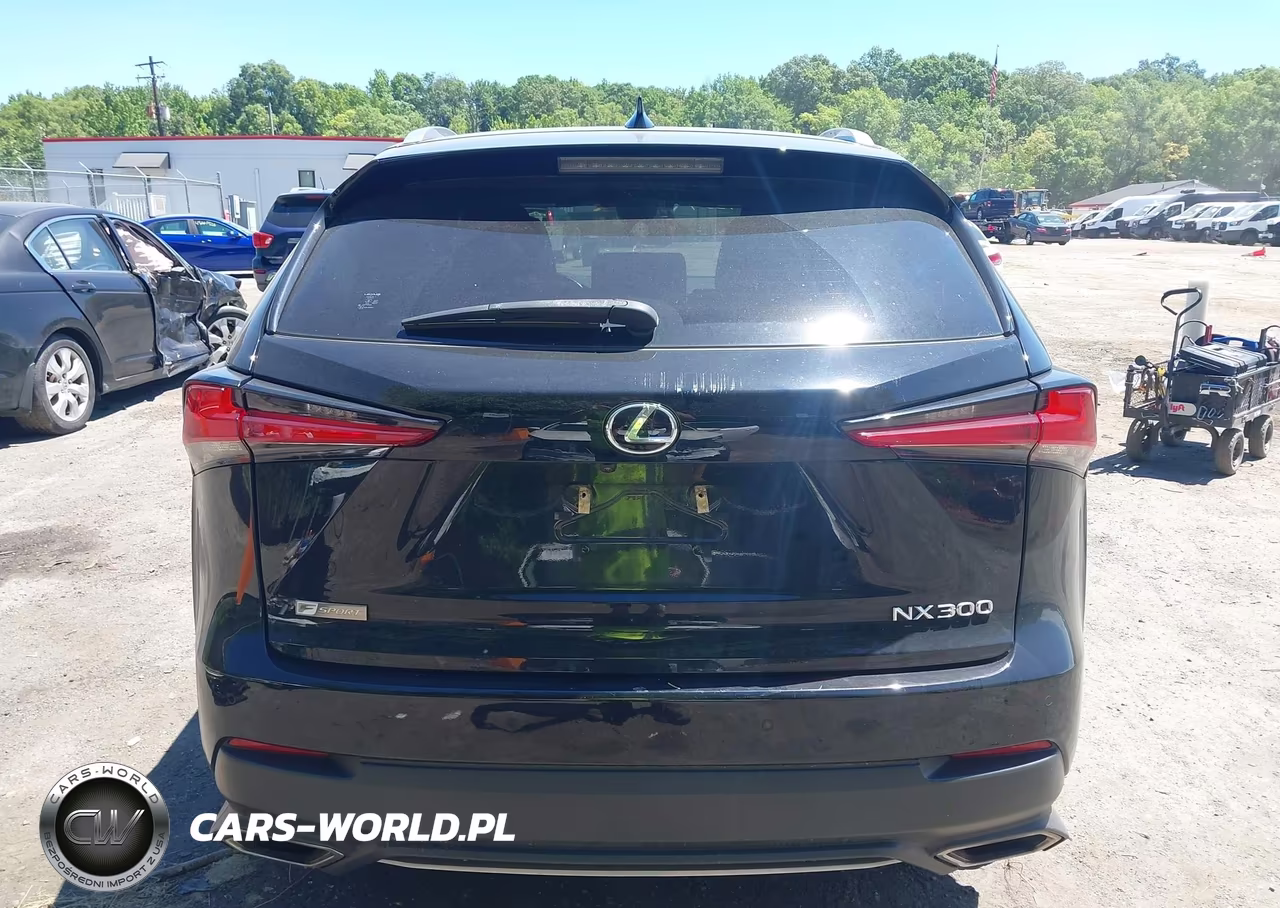 2021 Lexus Nx 300 F Sport VIN:JTJSARDZ8M2242349 - 16