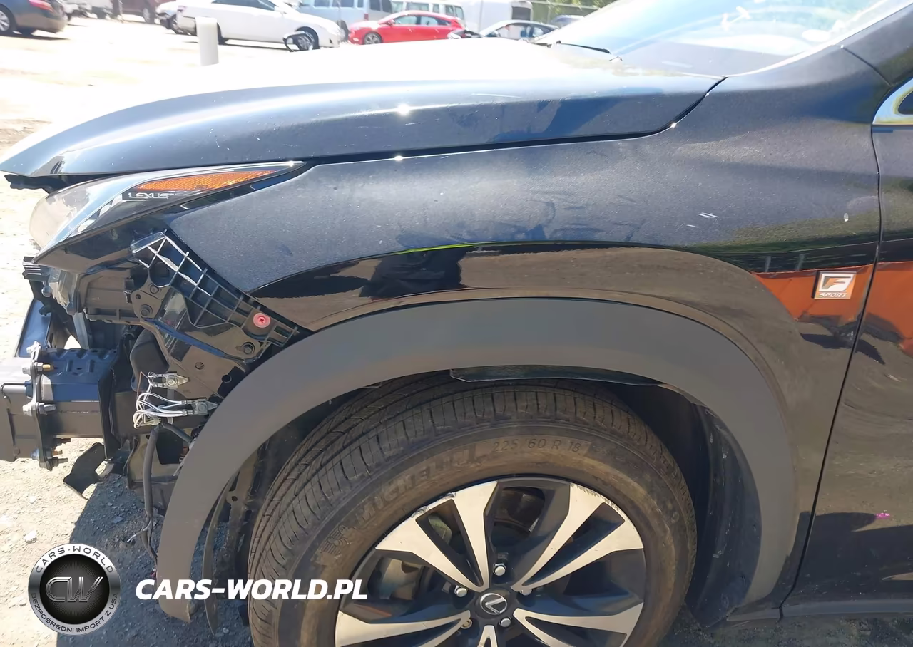 2021 Lexus Nx 300 F Sport VIN:JTJSARDZ8M2242349 - 6