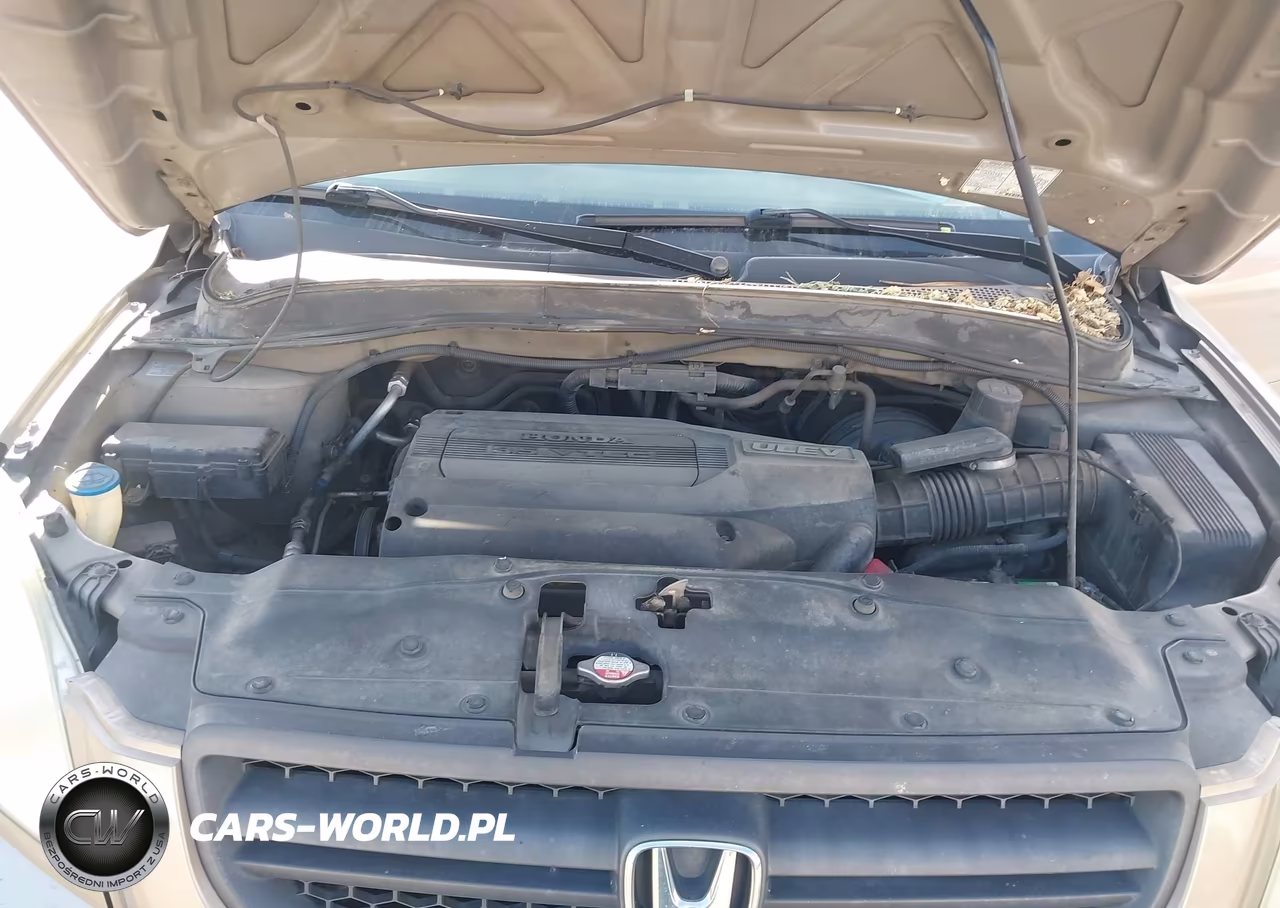 2004 Honda Pilot Ex-L VIN:2HKYF18534H542788 - 10