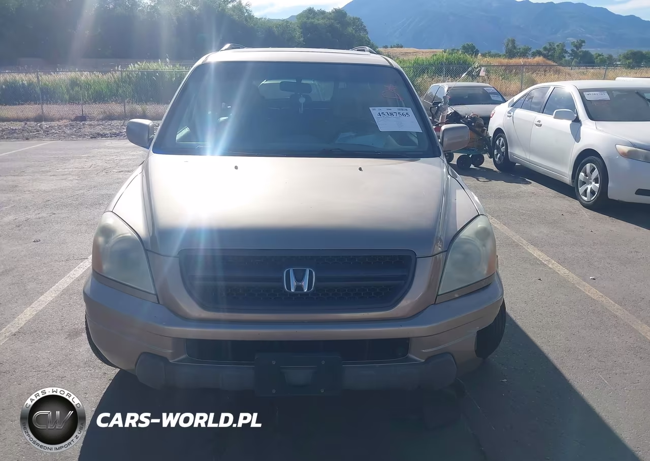2004 Honda Pilot Ex-L VIN:2HKYF18534H542788 - 12
