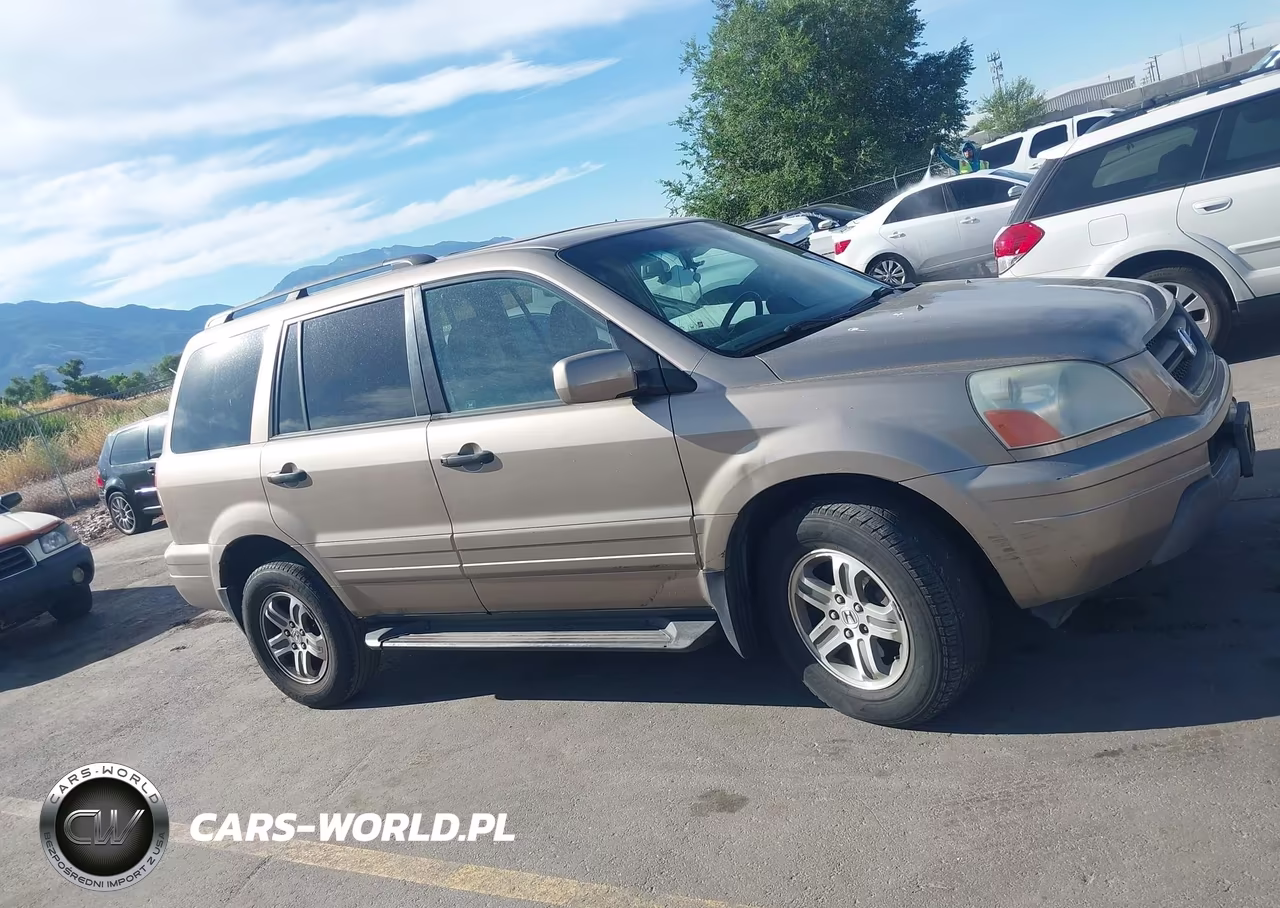 2004 Honda Pilot Ex-L VIN:2HKYF18534H542788 - 13