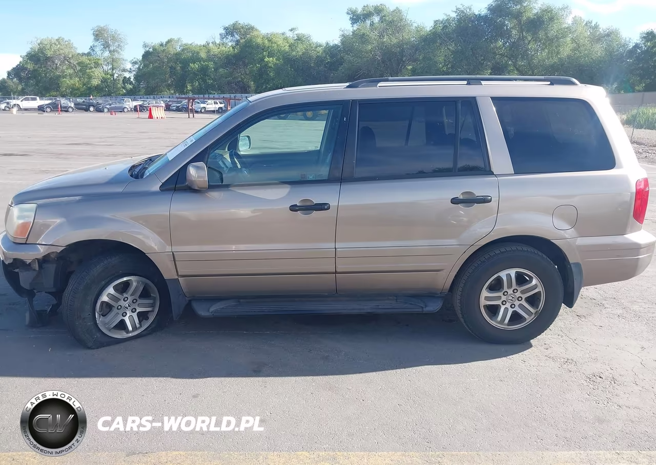 2004 Honda Pilot Ex-L VIN:2HKYF18534H542788 - 14